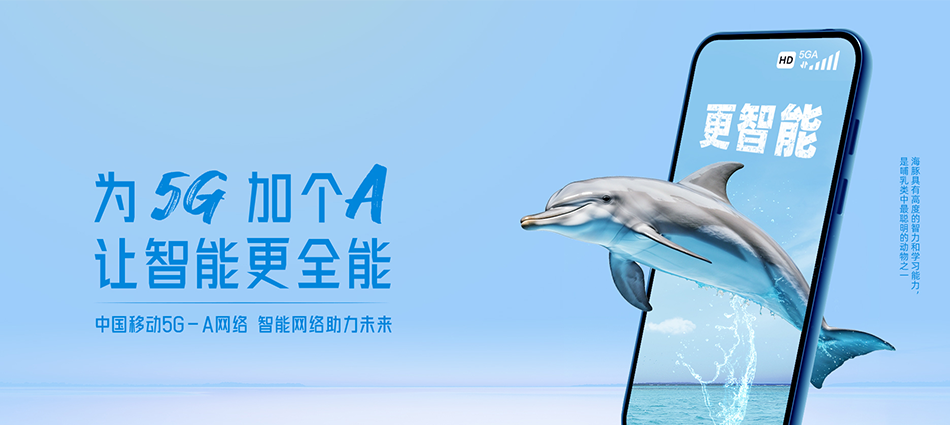 中国移动瑞丽市移动宽带